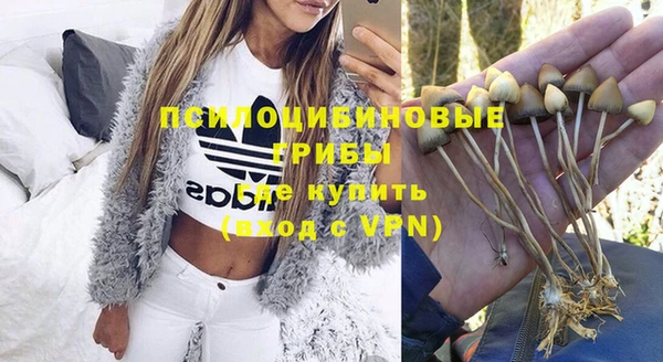 метадон Горняк