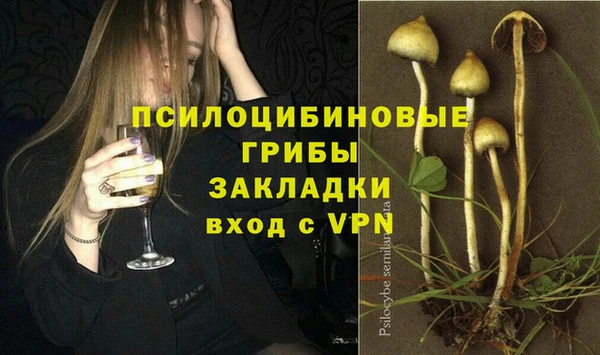 метадон Горняк