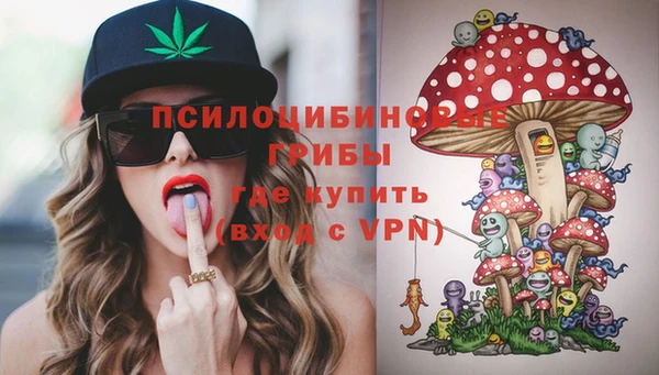 метадон Горняк