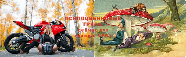 каннабис Горно-Алтайск