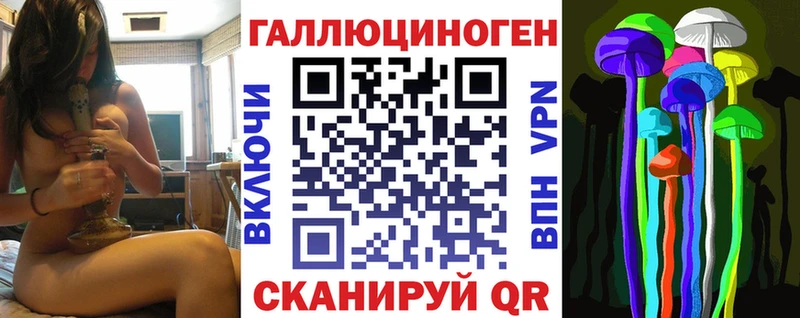 Псилоцибиновые грибы Psilocybe магазин наркотиков Жуковский